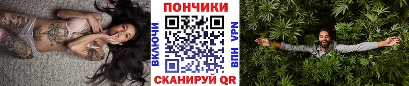 Купить закладку Alpha-PVP  АМФЕТАМИН  Меф мяу мяу  ГАШИШ  Кокаин  Каннабис  Пикалёво