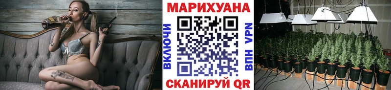 Канабис Bruce Banner  Купить  Пикалёво 